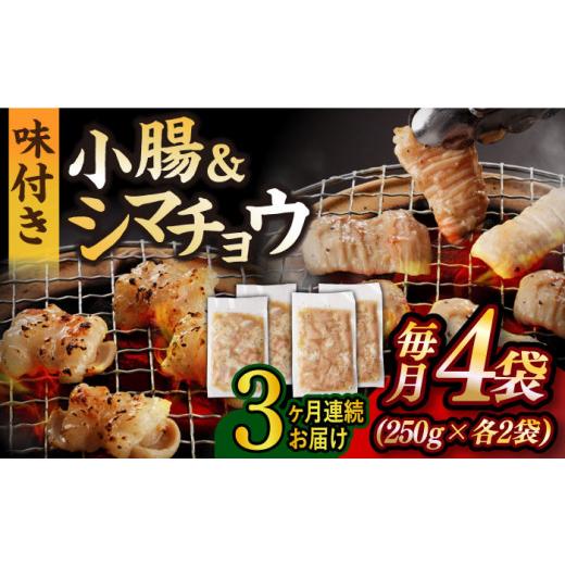 ふるさと納税 長崎県 長与町  九州産和牛 ホルモン 2種 計1kg（ シマチョウ 250g×2袋・ 小腸 250g×2袋） 長与町／岩永ホルモン …