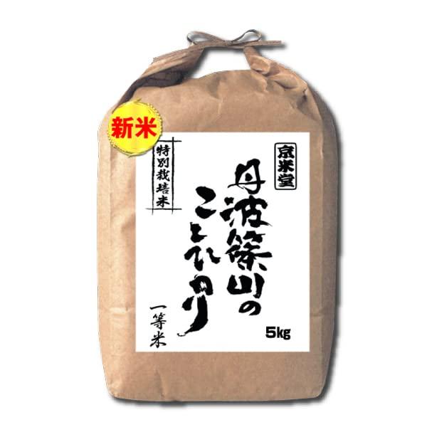  お米 5kg コシヒカリ 精米3分づき 丹波ささ山産 特別栽培米 減農薬 兵庫県 一等米 令和5年産