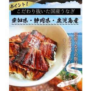 ふるさと納税 国産うなぎの蒲焼・白焼き豪華食べ比べセット（蒲焼2尾・白焼き2尾 計4尾） 愛知県名古屋市