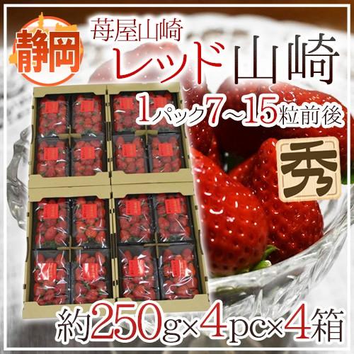 いちご 静岡県 ”苺屋山崎 レッド山崎” 秀品 4pc（1pcあたり7〜15粒前後 約250g）×《4箱》 送料無料