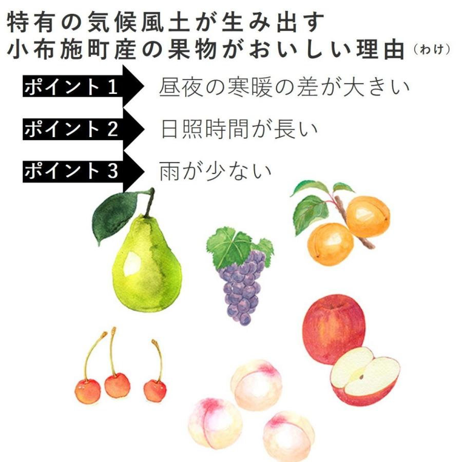 りんご グラニースミス 約2.8kg（8〜12玉）   常温便・送料無料 長野県産地直送 3kg箱