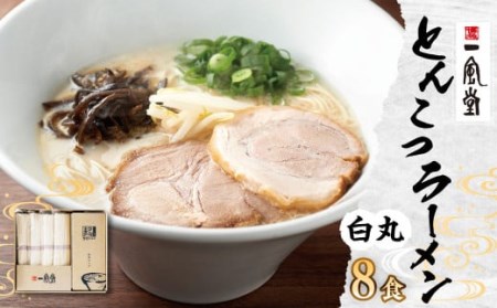 ラー麦使用 「一風堂」 とんこつラーメン 白丸 8食 博多ラーメン 豚骨 ラーメン ストレート麺