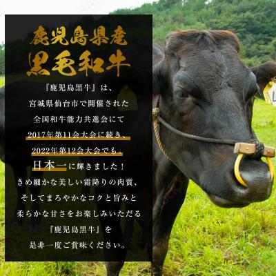 ふるさと納税 大崎町 A4ランク鹿児島県産黒毛和牛ロースステーキ、肩ロースすきやきセット　計700g