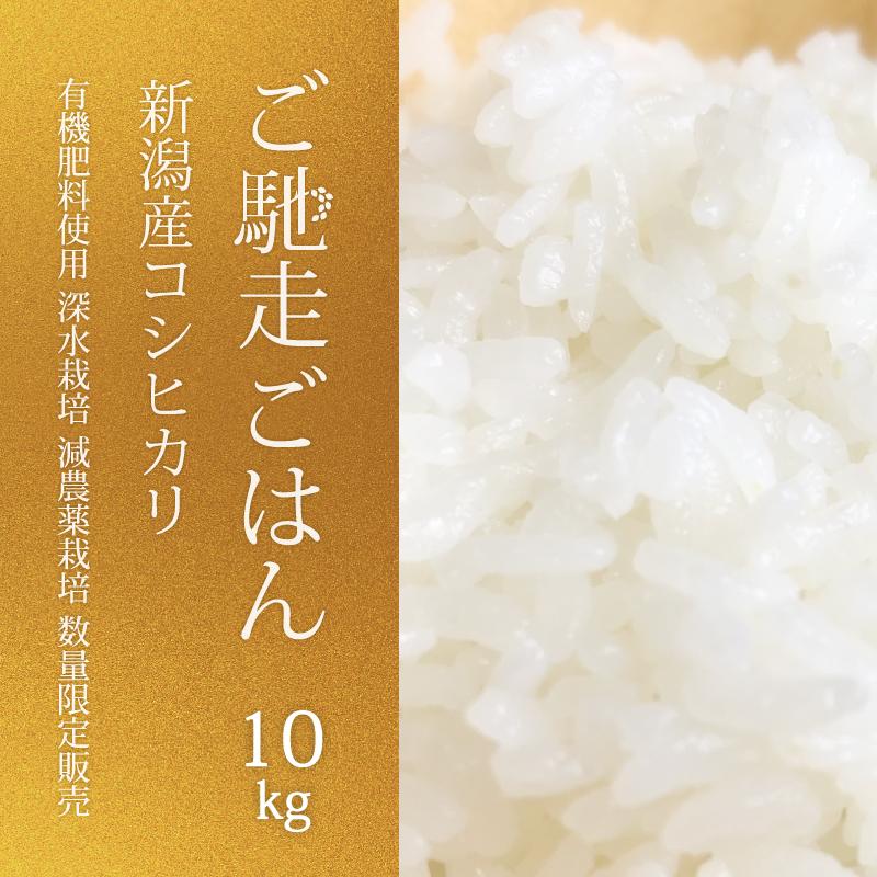 新潟県産コシヒカリ 新米 10kg ご馳走ごはん 精米 白米 令和5年産