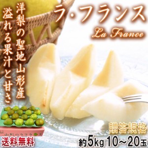 ラ・フランス 洋梨 約5kg 10～20玉 秀品 山形県産 贈答品 JA共撰 濃厚な甘みにとろける口どけ！ラフランスの生産量日本一の山形県が育成