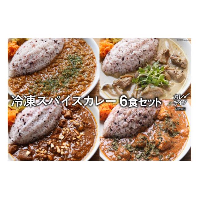 ふるさと納税 長崎県 雲仙市 冷凍スパイスカレー 4種 計6食セット キーマ グリーン チキン ポーク 詰め合わせ 食べ比べ ／ カレーライフ ／ 長崎県 雲仙市