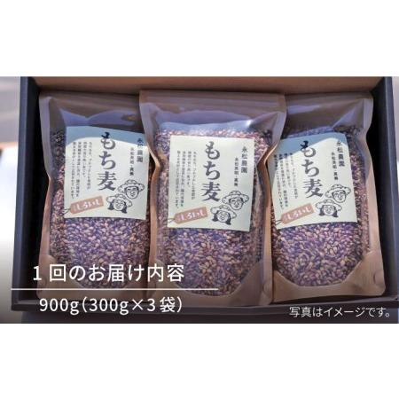 ふるさと納税 白石産 もち麦 900g（300g×3袋） 回（総計5.4kg）[IAA035] 佐賀県白石町