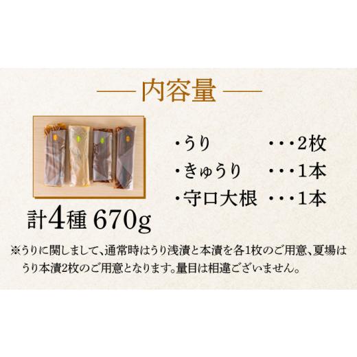 ふるさと納税 福岡県 築上町 奈良漬 「琥珀漬」670g ご家庭用 詰め合わせ 《築上町》【有限会社奈良漬さろん…