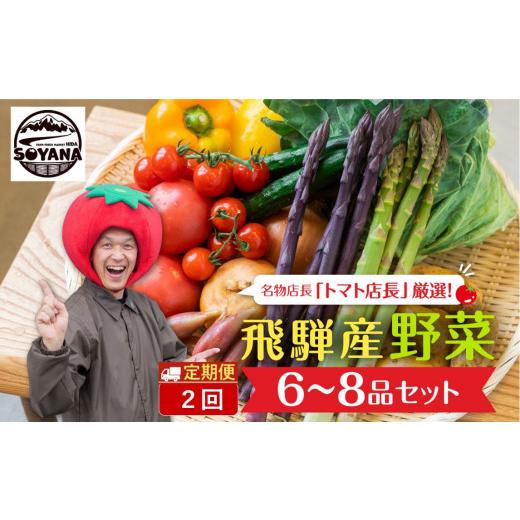 ふるさと納税 岐阜県 飛騨市 産直市から直送！ 飛騨産 旬の新鮮 野菜セット (6-8品)   〜2024年7月から11月にお届け〜