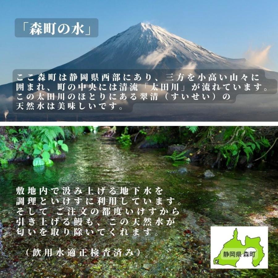 うなぎ 蒲焼 8尾 国産  鰻 ウナギ お中元 高級 人気 美味しい 浜名湖 静岡 老舗 店舗 冷蔵 のし 朝じめ 贈答 贈り物 ギフト お祝い お取り寄せ 内祝 地焼き