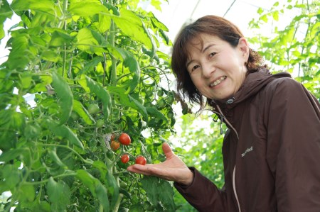 甘くて濃厚な味わい「うるるんトマト」(2kg）