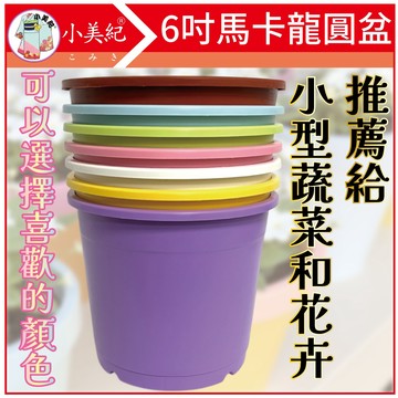 【植物保鑣】6寸圓盆 花盆 盆栽  6寸盆 圓盆 植栽盆 透氣盆 圓盆 輕量花盆 6吋盆 6吋馬卡龍 草莓盆 多肉盆