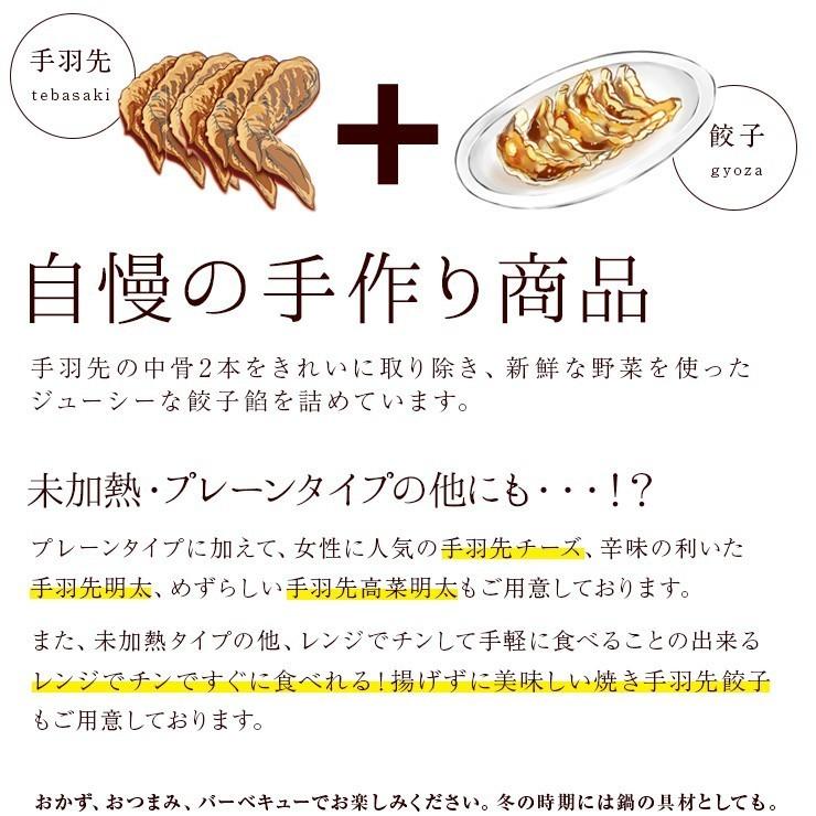 ギフト 高級 おつまみ お肉 食品 おつまみ 手羽先餃子 20本入 手羽餃子 冷凍 送料無料 ギフトボックス入