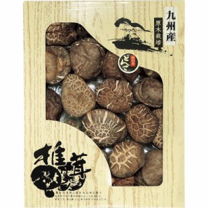 九州産どんこ椎茸 CD-50NH trのし包装無料