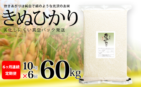 きぬひかり 白米 5kg×2袋×6回 6ヶ月連続 定期便 60kg 真空パック キヌヒカリ 米 簡易梱包 エコ梱包