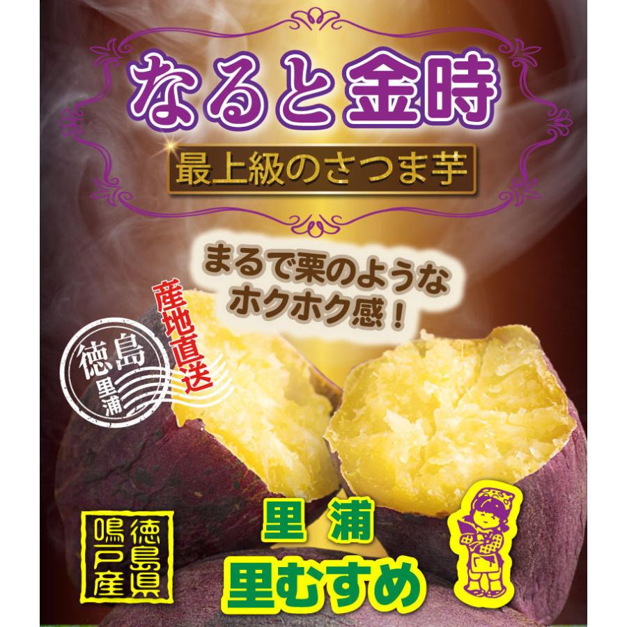 ギフト さつまいも なると金時 里むすめ 秀品 生芋 2Sサイズ 約60g〜90ｇ 約56〜84本 鳴戸市里浦 産地直送 5kg×1箱 鳴門金時 送料無料 J常