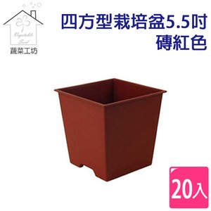 四方型栽培盆5.5吋-磚紅色(厚)20個/組