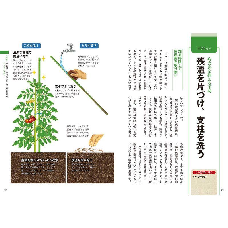 連作でよく育つ野菜づくり 狭い畑で病害虫を防ぎ品質・収量アップ