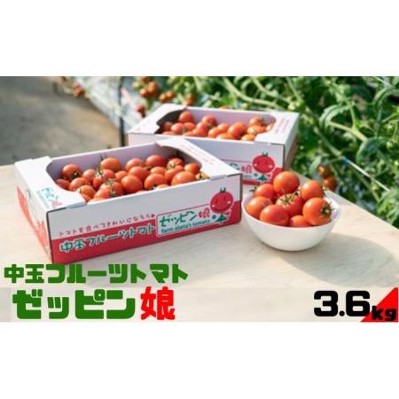 ふるさと納税 中玉フルーツトマト「ゼッピン娘」1.8kg×2箱（計3.6kg） 希少な品種 華おとめ 甘い 茨城県結城市