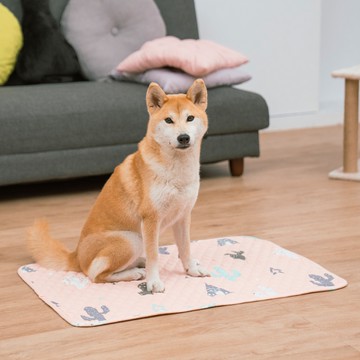 威瑪索 防滑地墊 腳踏墊 絎縫墊 萬用墊 50X70cm-(4款)