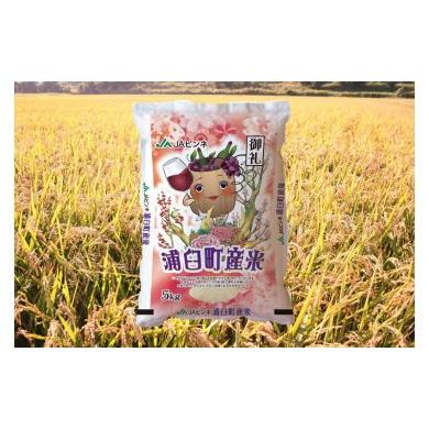 ふるさと納税 お米8ヶ月食べくらべセット（浦臼産ななつぼし　ふっくりんこ　ゆめぴりか　各５ｋｇ（計１５ｋｇ）×８ヶ月発送） 北海道浦臼町