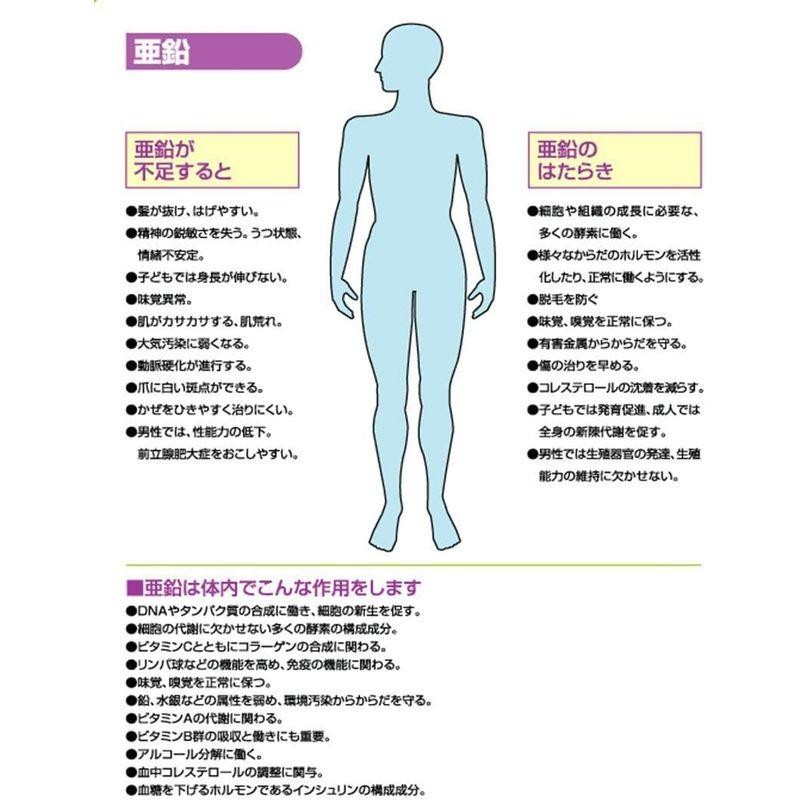 バランスターwz 50袋　携帯用健康食品