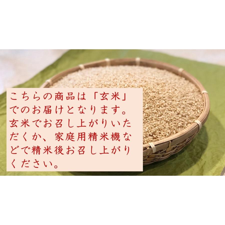 龍の瞳 玄米 5ｋｇ 5年産 有機肥料 岐阜産 認定特約店00215