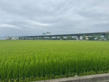 近宜蘭高鐵特區、高速公路旁優質足坪農地｜宜蘭縣壯圍鄉中興段