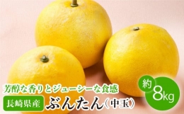 ぶんたん 中玉 約8kg  [OAF002]   完熟 贈り物 ギフト ミカン 柑橘 果物  文旦