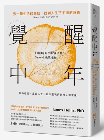 覺醒中年：另一種生活的開始，找到人生下半場的意義【二手書_良好】TAAZE讀冊生活