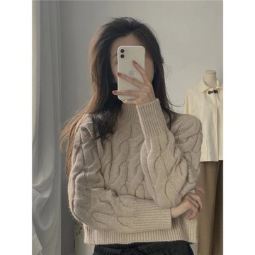 小香風浣熊絨毛衣短款女冬季2026新款小個子韓系高領內搭長袖上衣