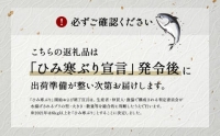 天然「生ひみ寒ぶり」刺身用 約800g〈アラ付き〉