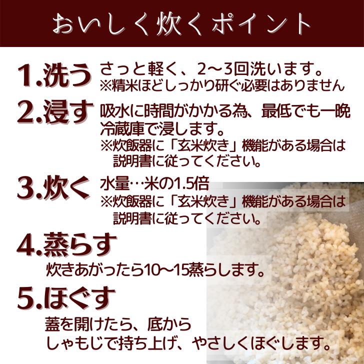 新米 5年産 玄米 通販 米 新潟 産 コシヒカリ 玄米 5kg こしひかり 減農薬 農家 直送 生産者 コシヒカリ 5kg 新潟県産 玄米 おすすめ 玄米 販売