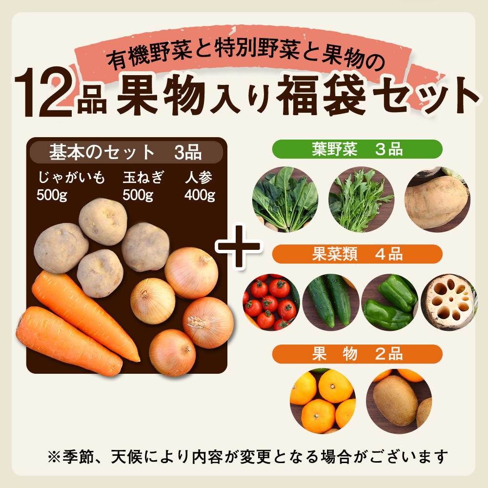 OKAWARI旬の野菜 12品お試しセット（有機野菜と特別野菜と果物）