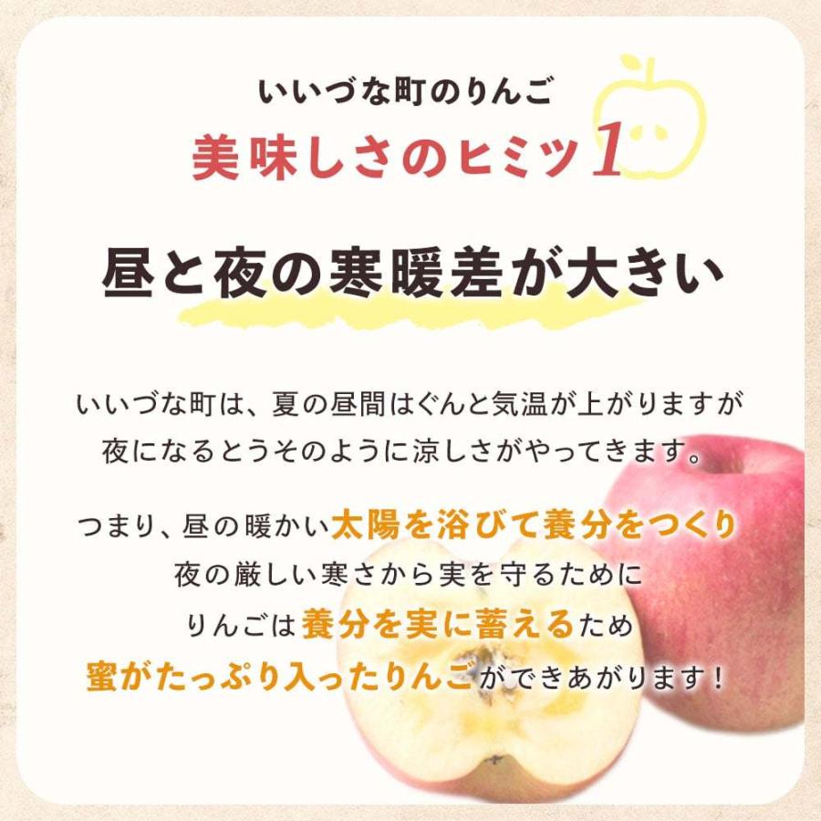 りんご サンふじ 5kg 予約販売 11月下旬以降順次発送 長野県 飯綱町産 訳あり 家庭用 信州 5キロ ギフト 林檎 リンゴ フルーツ