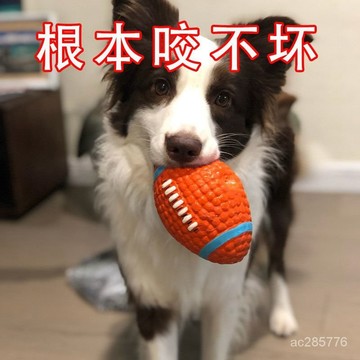 狗狗玩具耐咬狗狗用品球球玩具狗磨牙玩具狗狗玩具陪睡髮洩狗玩具 WXMJ