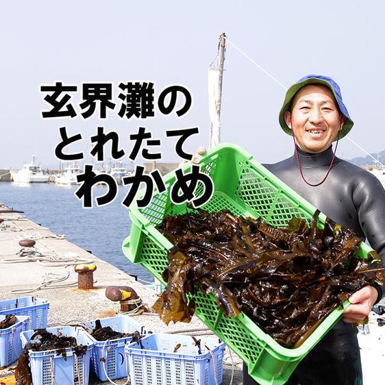 魚介類 海藻 在庫処分セール　玄界灘の塩茎わかめ　おすすめレシピ付き 産地直送