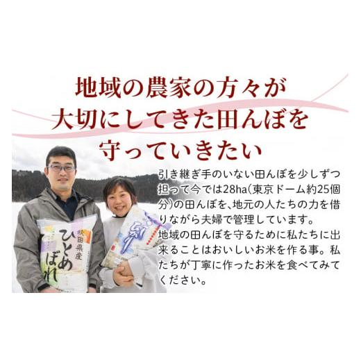 ふるさと納税 秋田県 由利本荘市  5年連続 特A ひとめぼれ 令和5年産 秋田県産 五平農園のひとめぼれ 10kg