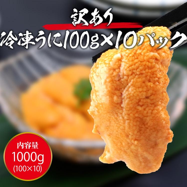 訳あり 冷凍 うに 100g×10パック 不揃い 崩れ お刺身 ウニ うに 雲丹 冷凍 ギフト お歳暮 お取り寄せグルメ 食品