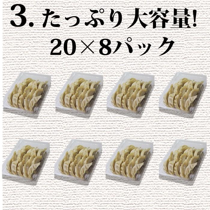 餃子 送料無料　お取り寄せ 無添加 無化調 生餃子160個入り自家製ラー油付き ギフト 贈り物