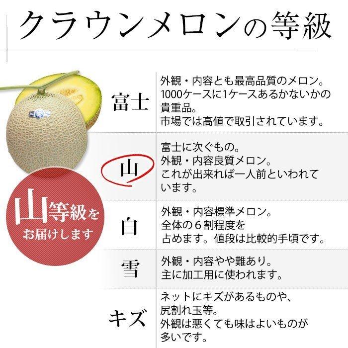 メロン 静岡県産 クラウンメロン 6個 等級：山 7.5kg以上 産地元箱入