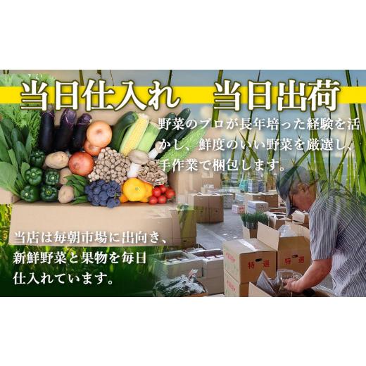 ふるさと納税 長崎県 雲仙市 定期便 12回コース 贅沢 野菜 セット どっさり 16品目以上 季節の野菜 フルーツ キノコ 詰め合わせ   吉岡青果   長崎県 雲仙市[i…