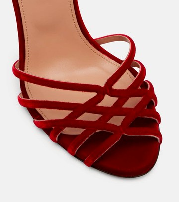 Aquazzura Wild Dream 105 velvet sandals
