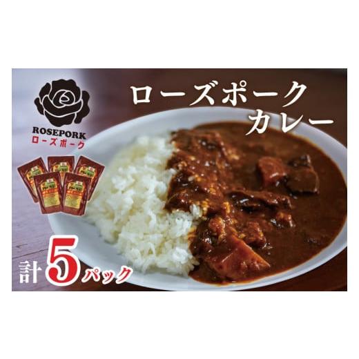 ふるさと納税 茨城県 行方市 DT-45カレー5袋