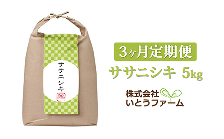 いとうファームの令和5年産「ササニシキ」5kg