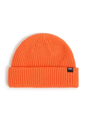 vans beanie with logo