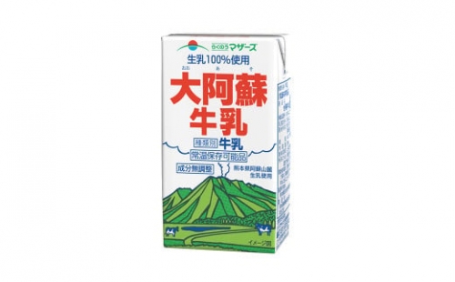 生乳 100％ 大阿蘇牛乳 ロングライフ 牛乳 250ml×24本入り 合計6L