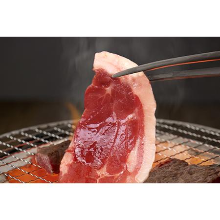 ふるさと納税 ALSOKの房総ジビエ「猪肉」BBQセット（焼肉用600g＆ハム・ソーセージ約300g） 千葉県富津市