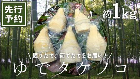 《 先行予約 》新鮮な ゆで タケノコ 1kg 竹の子 1キロ 筍 たけのこ 水煮 真空パック 国産 たけのこご飯