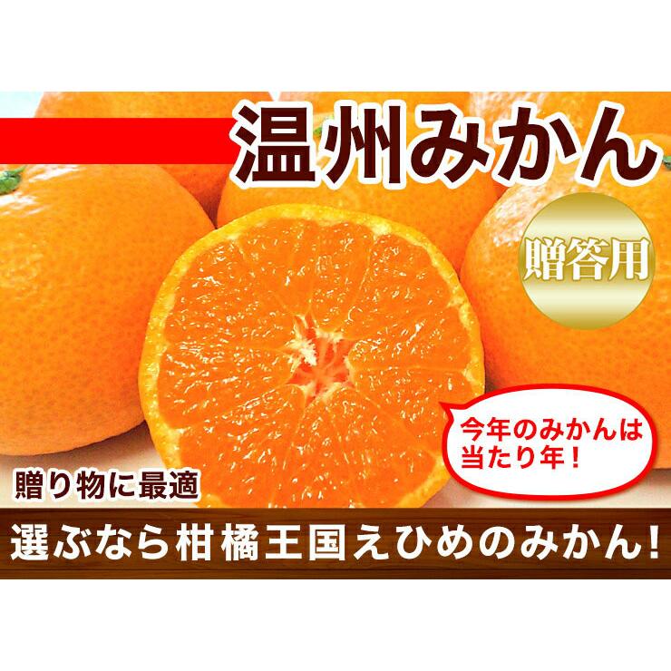 愛媛 みかん 贈答用 3kg M〜Lサイズ混合 完熟みかん 愛媛県宇和島産 お取り寄せ 産直 フルーツ 果物  西宇和産 送料無料